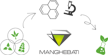 Société Manghebati